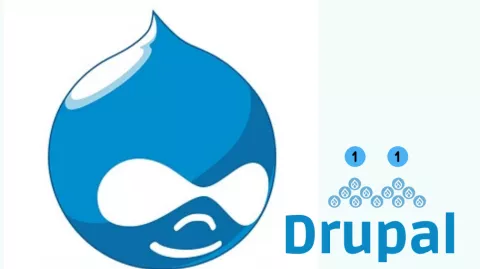 Drupal 11
